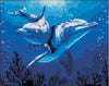Image of DIY Paint by Numbers Kit - Dolphins in The Sea
