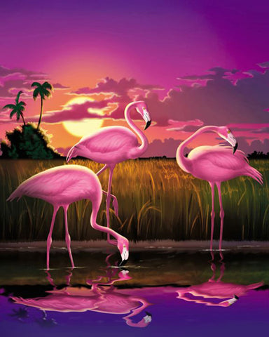 DIY Paint by Numbers Kit - 3 Pink Flamingos