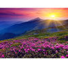 Image of DIY Paint by Numbers Canvas Painting Kit - Perfect Sunset