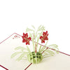 Image of 3D Valentine's Day Red Flower Bouquet Pop Up Card and Envelope