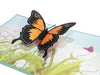 Image of 3D Orange Butterfly Pop Up Card and Envelope