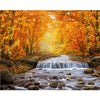 Image of DIY Paint by Numbers Canvas Painting Kit - Autumn in The Park
