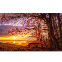 DIY Paint by Numbers Canvas Painting Kit - Lonely Bench Sunset