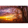 Image of DIY Paint by Numbers Canvas Painting Kit - Lonely Bench Sunset