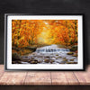 Image of DIY Paint by Numbers Canvas Painting Kit - Autumn in The Park