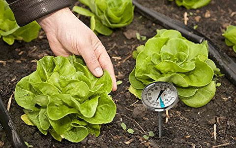 Soil Thermometer by Smart Choice