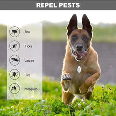 Portable Ultrasonic Battery Operated Flea Repeller - Protect Your Dog from Fleas