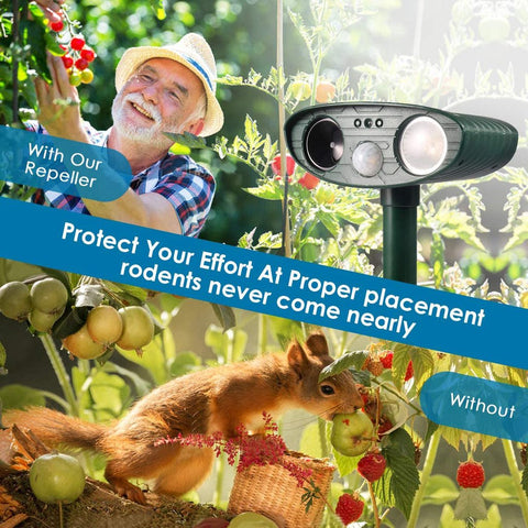Ultrasonic Squirrel Repeller - PACK of 4 - Solar Powered - Get Rid of Squirrels in 48 Hours or It's FREE