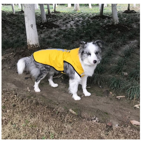 PetPawa Dog Raincoat with Hood