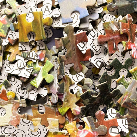 Venice - Large Paper Jigsaw Puzzle [1000 Pieces]