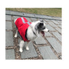 Image of Dog Raincoat with Hood and Leash Hole Waterproof