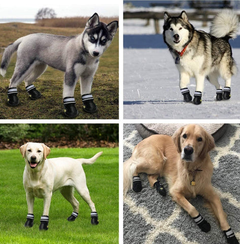 Dog Boots - Outdoor Waterproof Running Shoes for Medium to Large Dogs