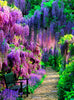 Image of Paint by Numbers Kit - Purple Garden