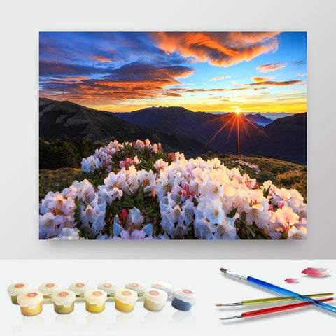 DIY Paint by Numbers Canvas Painting Kit - Blooming Sunset