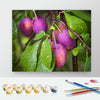 Image of DIY Paint by Numbers Canvas Painting Kit - Blooming Plums